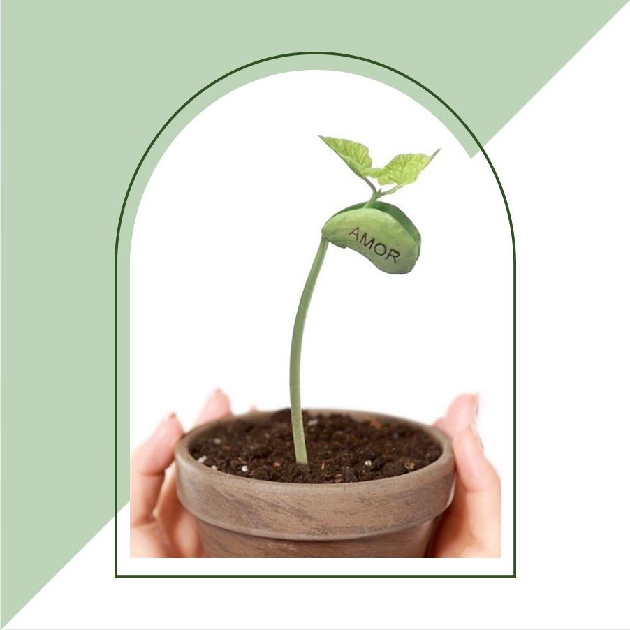KIT DE CULTIVO: “Creciendo juntos” KIT DE CULTIVO: “Creciendo juntos”